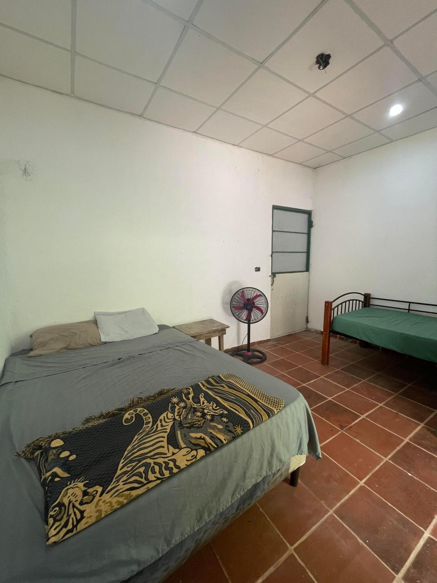 Sugarloaf Beach House & Surf Lodge 埃尔库科 外观 照片