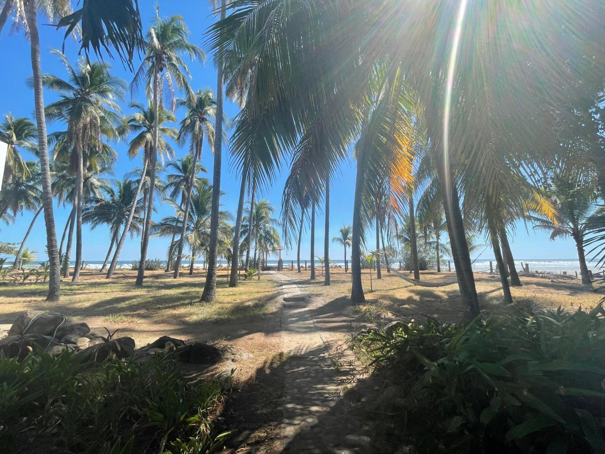 Sugarloaf Beach House & Surf Lodge 埃尔库科 外观 照片