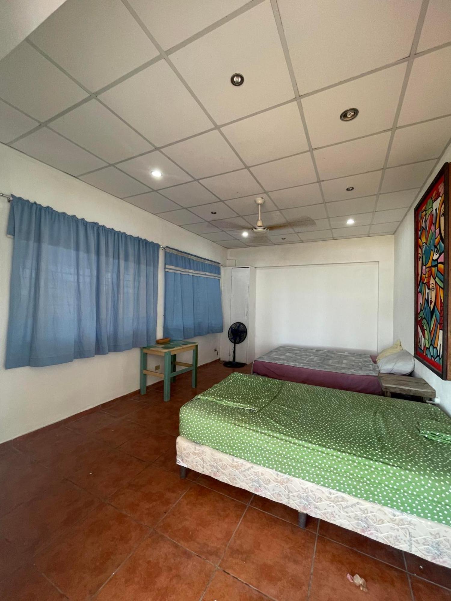 Sugarloaf Beach House & Surf Lodge 埃尔库科 外观 照片