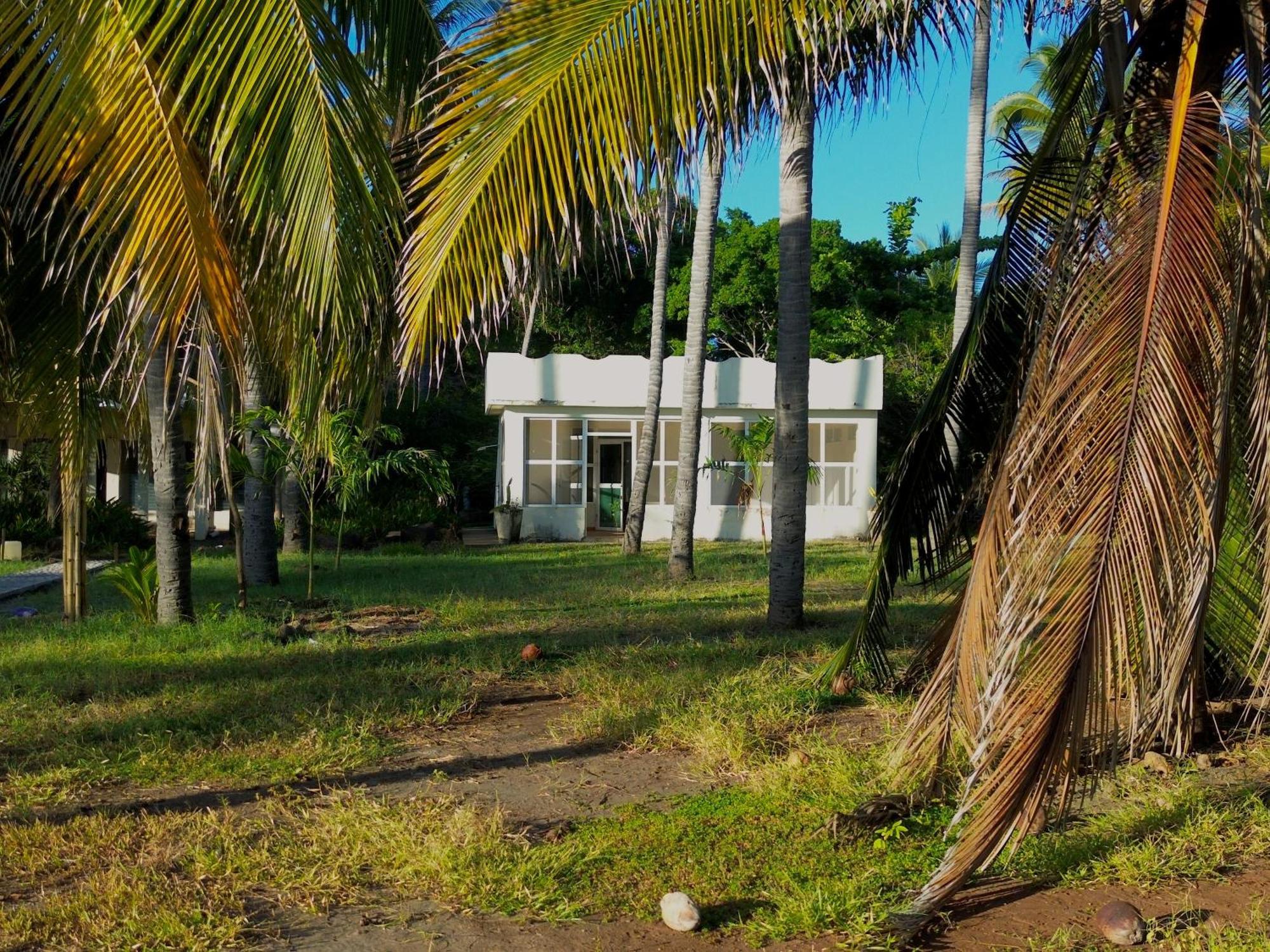 Sugarloaf Beach House & Surf Lodge 埃尔库科 外观 照片